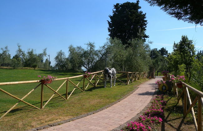 Fattoria di Colleoli - Foto 49