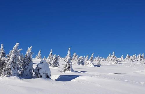 ŚNIEŻKA HOUSE - Foto 62