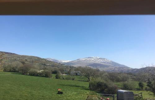 Tyddyn Perthi Farm - Foto 5