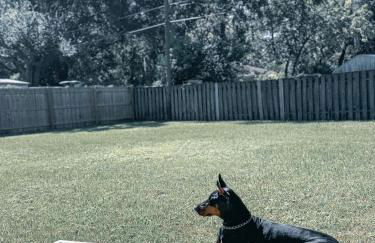 The Mariner's Rest 4BR House Pet-Friendly - Foto 69