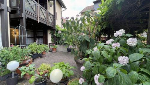 Apartment Gerberbachviertel - Photo 4