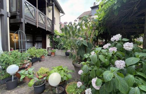 Apartment Gerberbachviertel - Foto 4