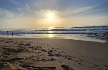 T1 Praia Areia Branca - Photo 30