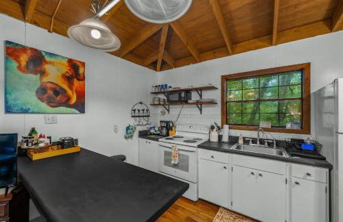 Mountain Retreat Ruby's Roost Home & Loft - Foto 80