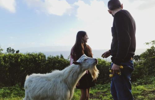 Quinta do Caminho da Igreja TER-Casas de Campo - Foto 6