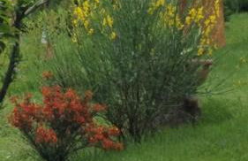 B & B SENTIERO VALTELLINA - Foto 16