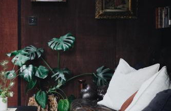 Two unique cabins wrapped in beautiful welsh scenery - Foto 12