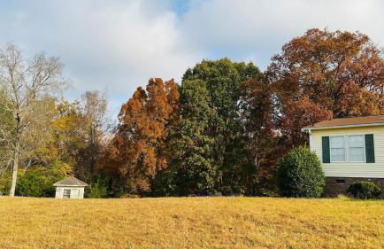 Farm Stay at Golden Meadows - Foto 4