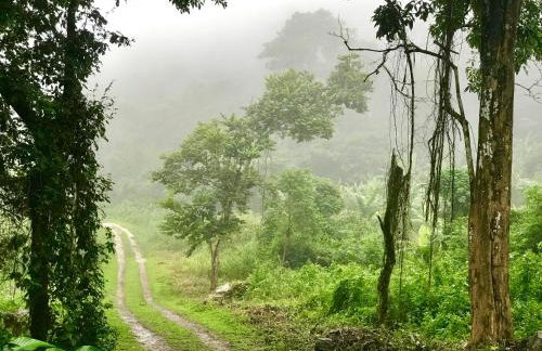 Chalé Suíço - Chalés Belo Monte - Sítio Belo Monte - Foto 32