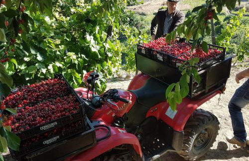 Quinta Barqueiros D'Ouro - Casa da Música - Photo 59