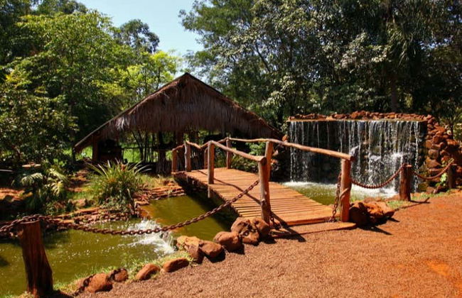 Excursión a Puerto Iguazú - Foto 3