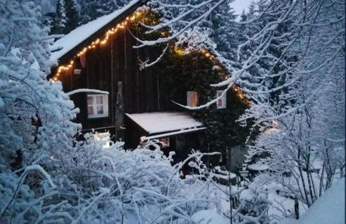 Romantisches Bauernhaus im Dreiländereck D-A-CZ - Foto 29