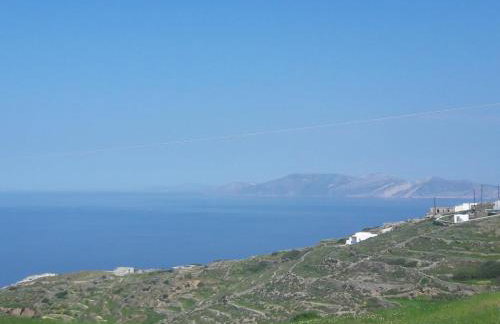 Under The Palm Tree Boutique Studios - Foto 52