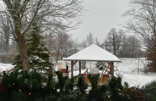 ČAROBNA ŠUMA ***(magic forest) - Foto 40