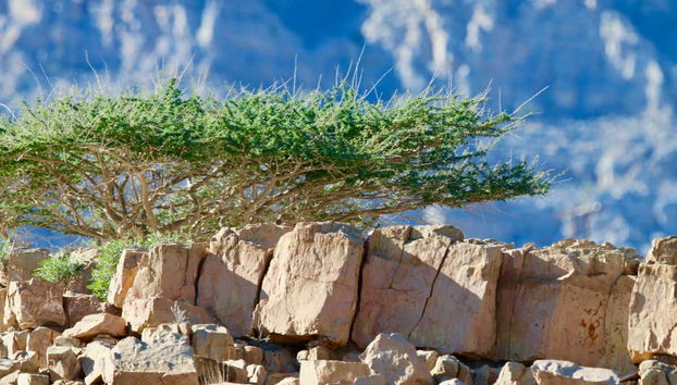 Climbing to Jebel Harim Peak