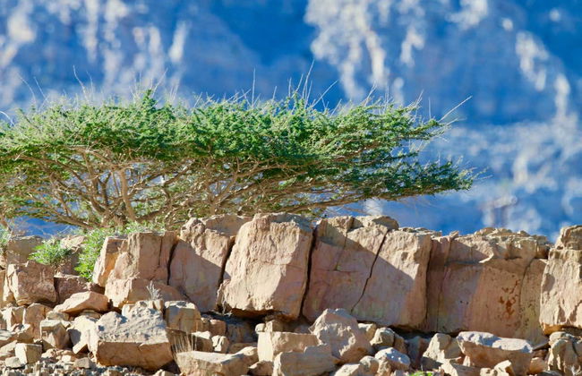 Musandam Private Off-Roading Tour - Photo 1