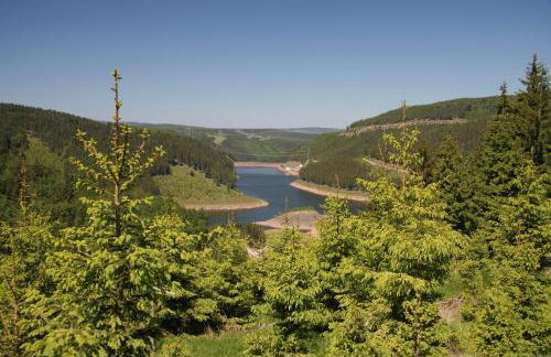 Ferienhaus Waldblick - Foto 8