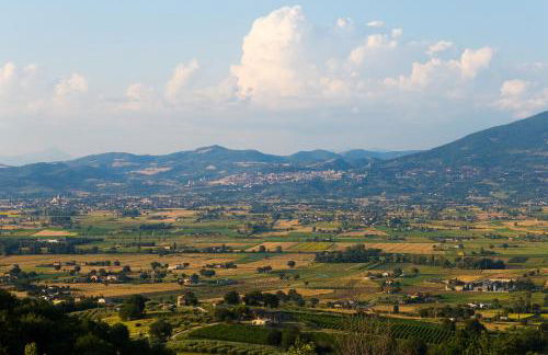 Agriturismo il Cicaleto - Foto 28