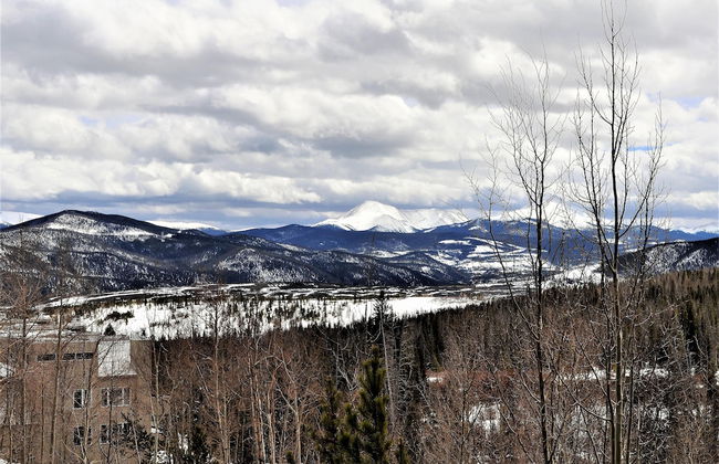 Forest Park 3 Bed 4 Bath Townhome - Foto 35