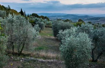 La Sorgente del Radicino - Foto 16