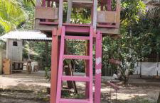 Sitio na floresta px a Belém - Photo 6