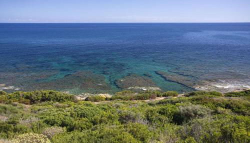 Villetta Seaside Sardegna - Foto 5