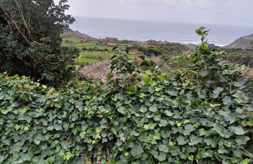 Casa da Queijaria - Foto 26