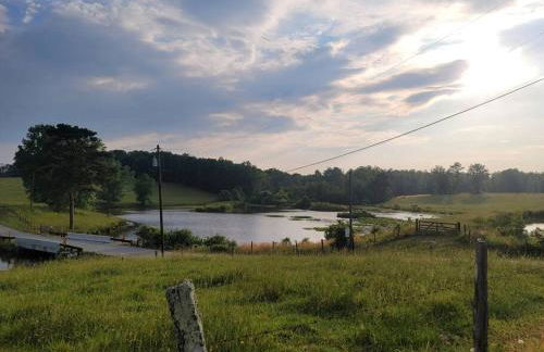 Cozy Swamp Rabbit - Sans Souci Greenville Furman - Foto 23