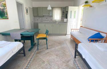 Andros Vineyard house with sea view - Foto 10