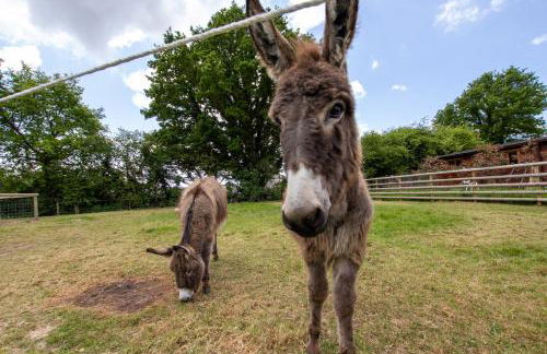 Nestledstays- The Farm Lodge - Foto 12