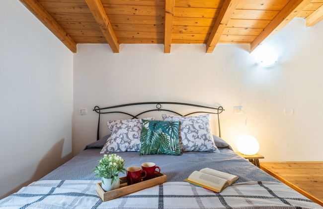 Eucalipto - Photo 17