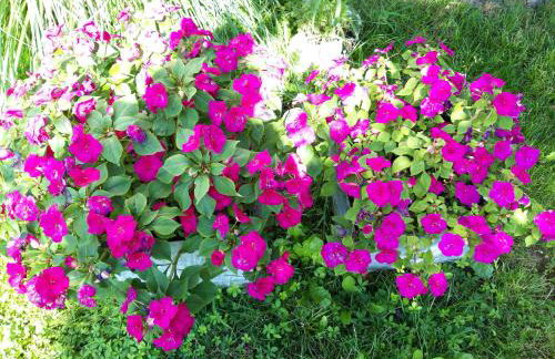 Studio apartman CENTAR - Foto 43