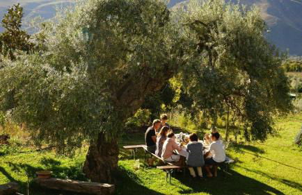 Tropical Studio - Foto 53