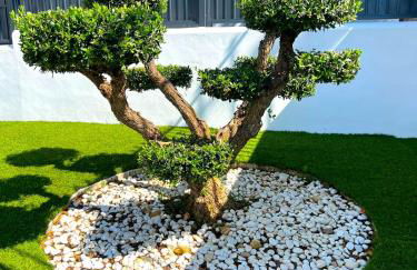 LA IBICENCA CORDOBA - Photo 27