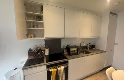 JVL Nice Cosy 1BR Flat Purley, London - Foto 13