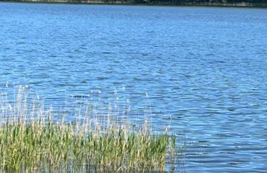 Dom Przy Lesie na Warmii - Foto 29