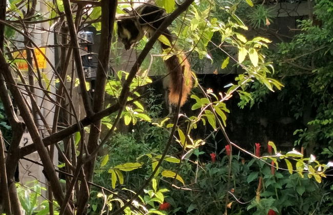 Sandy Serviced Apartment - Foto 79