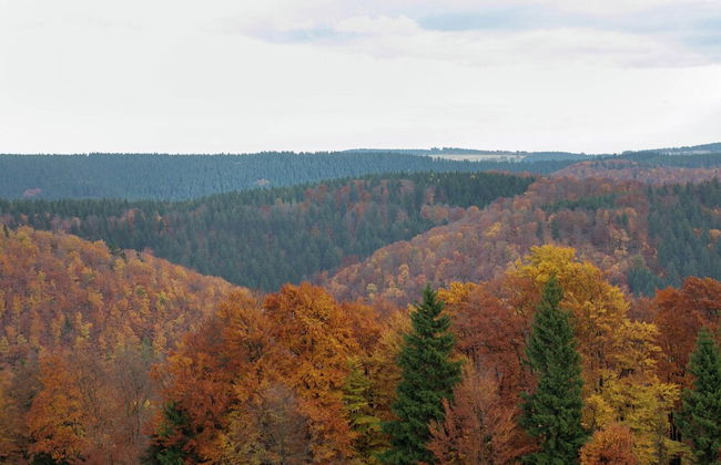 Fantastic Apartment in Frauenwald near Forest - Foto 42