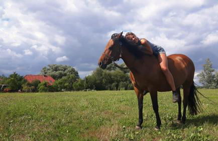 Hof-Silberweide - Foto 8