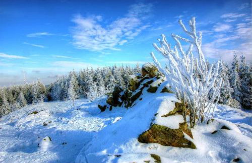Ferienwohnung Relax - Foto 44
