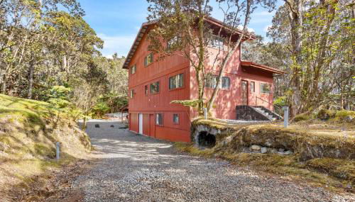 Stop Looking You've found it - Photo 5