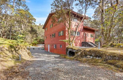 Stop Looking You've found it - Foto 5