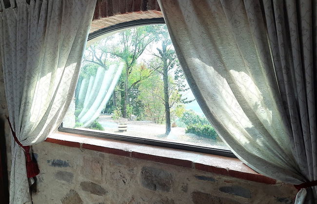 Borgo Livernano - Foto 38