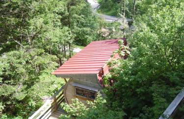 Tonneau Col de la Faucille - Foto 1