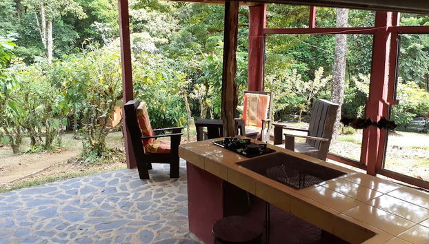 Vanilla Jungle Lodge - Bed & Breakfast - Foto 4, Vistas desde la habitación