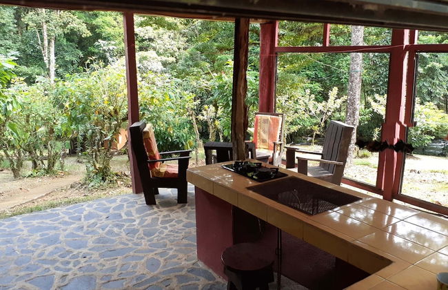 Vanilla Jungle Lodge - Bed & Breakfast - Foto 4