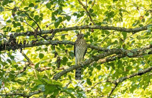 Bright Eastside 2BD 2BA Retreat w Pool and Parking - Foto 35