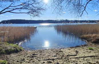 Ferienhaus Im Wäldchen in See Nähe - Photo 38