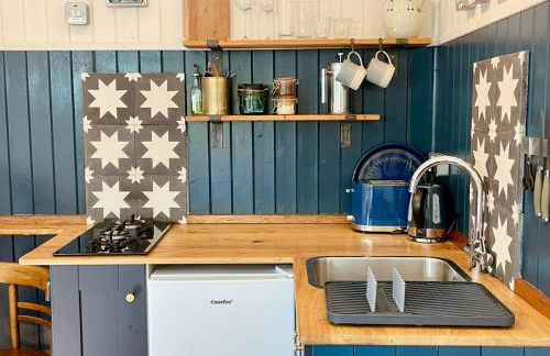 The Garden Room - Cabin on The Lizard - Foto 28