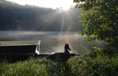 Ferienhaus direkt am Badesee Bungalow 11 Schönsee - Foto 29